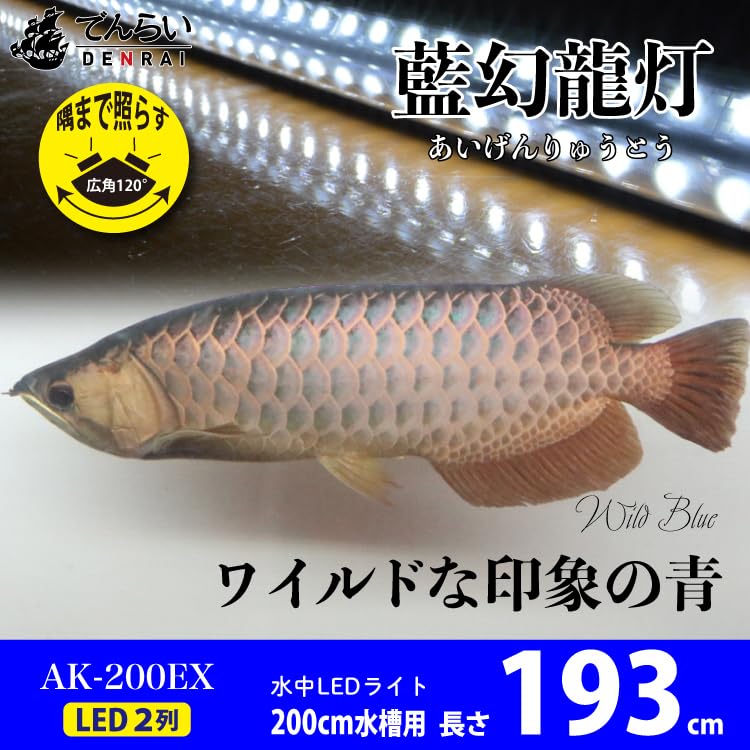 Amazon.co.jp: でんらい 水中照明 アロワナライト LED 過背金龍